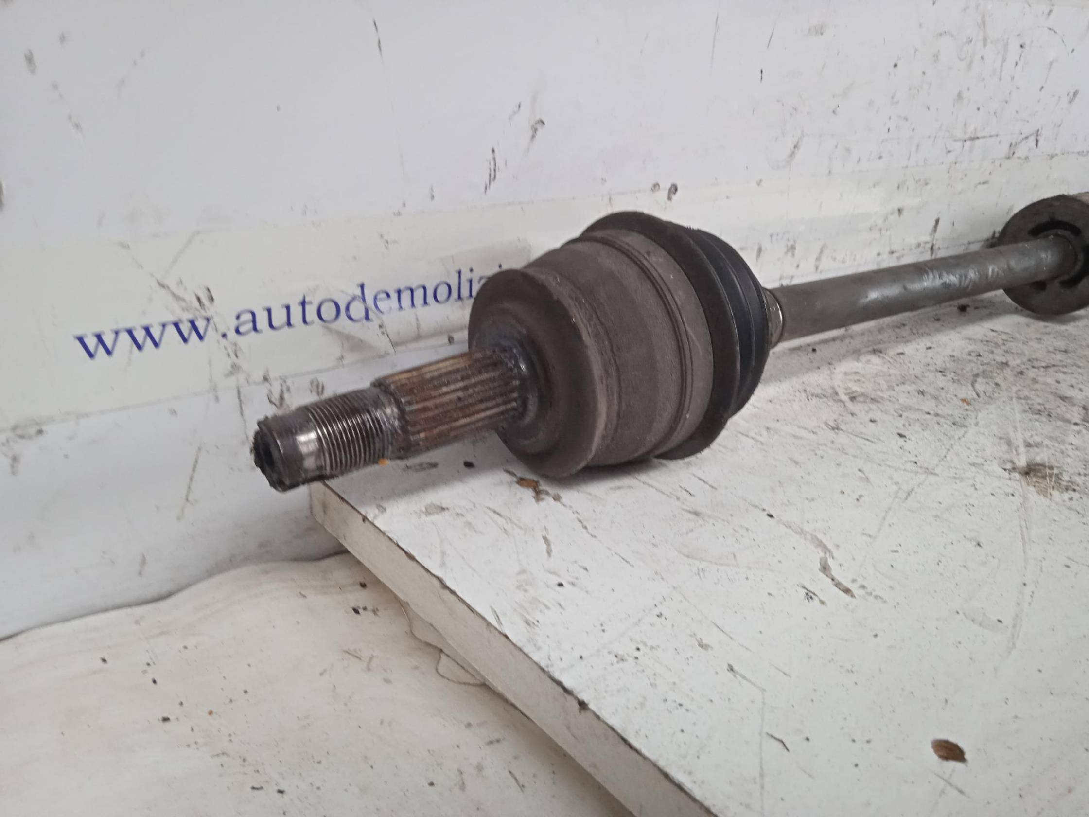 Semialbero ant. compl. dx.